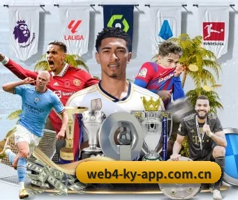 开·云app登录入口下载 APP