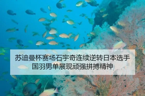 苏迪曼杯赛场石宇奇连续逆转日本选手 国羽男单展现顽强拼搏精神