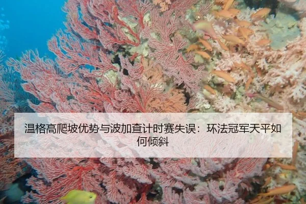 wen-ge-gao-pa-po-you-shi-yu-bo-jia-cha-ji-shi-sai-shi-wu-huan-fa-guan-jun-tian-ping-ru-he-qing-xie-3-226.jpg