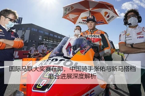 国际马联大奖赛在即，中国骑手张佑与新马搭档磨合进展深度解析